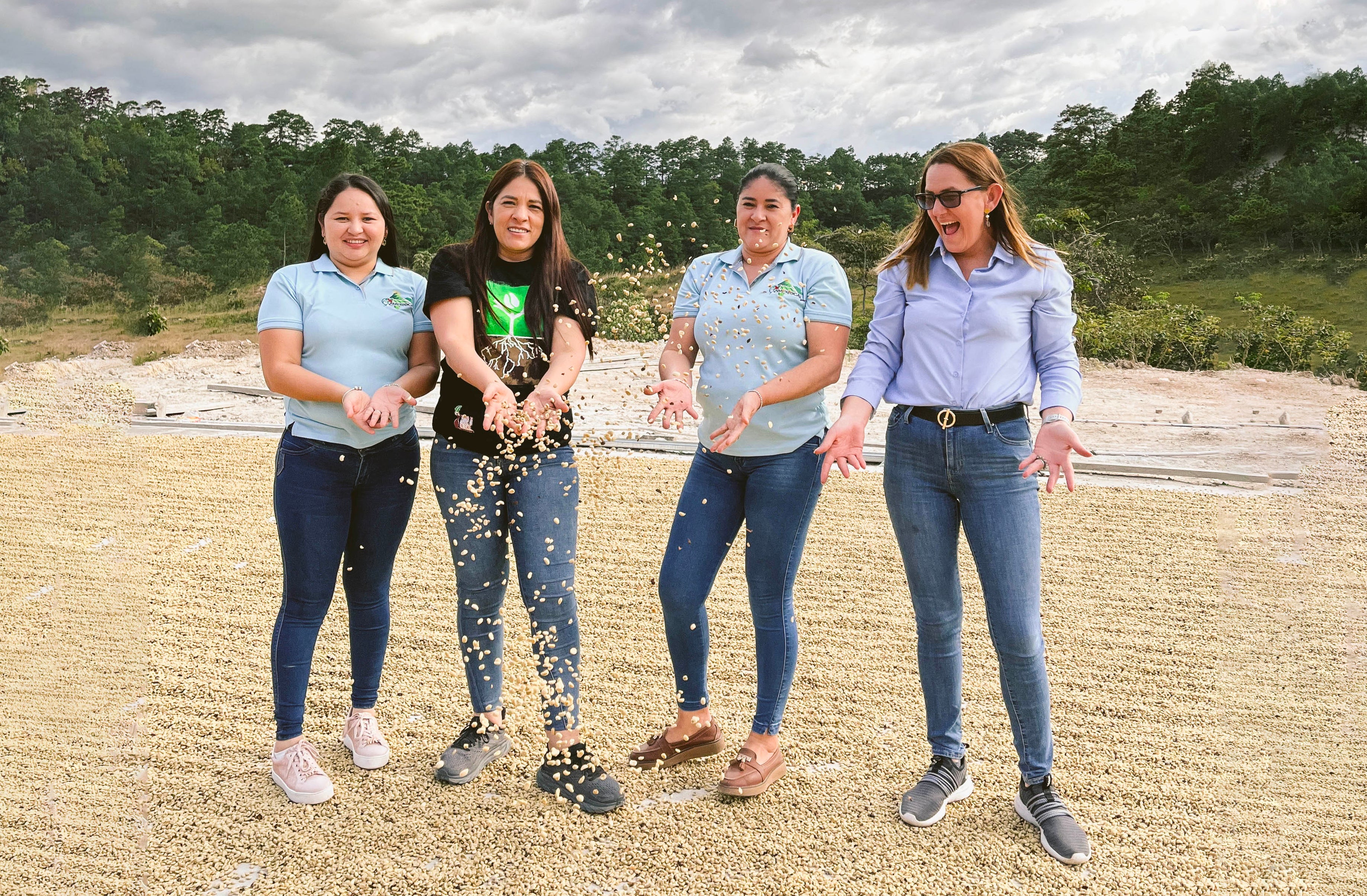 Coffee Producer Highlight - AMPROCAL