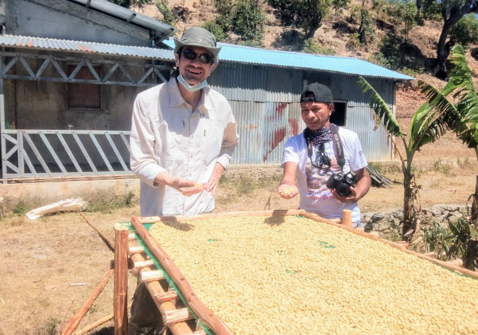 Two people holding coffee beans on raised coffee drying bed.