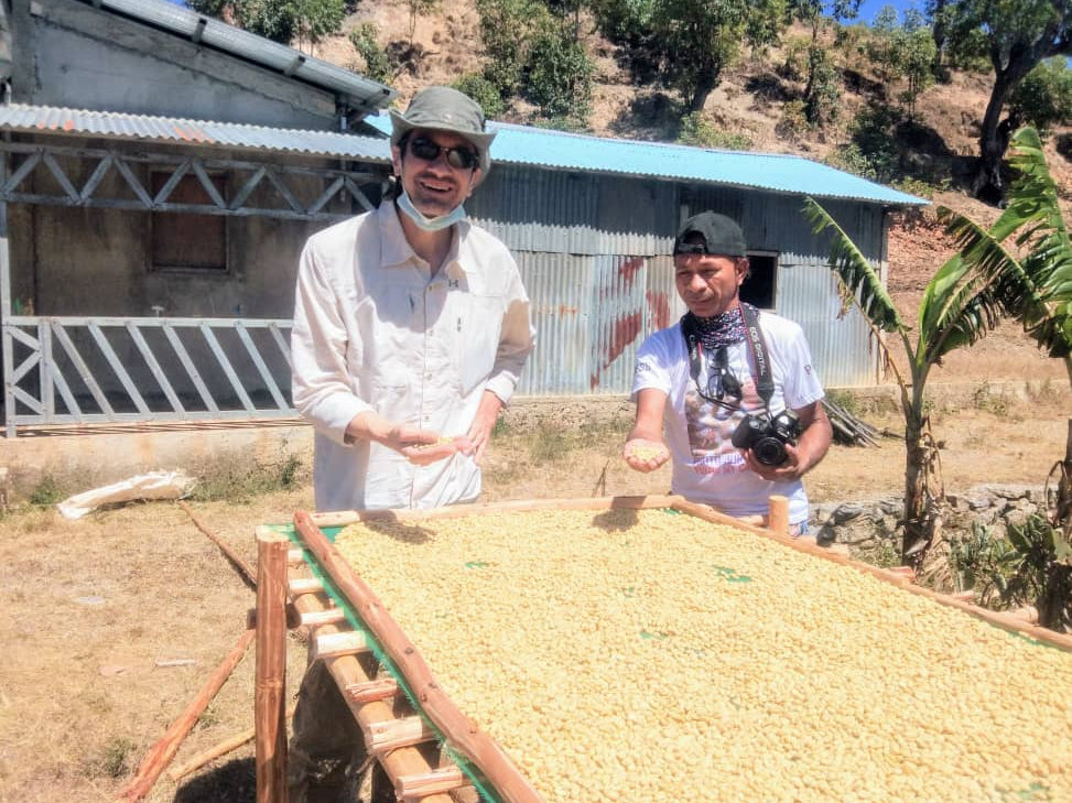Two people holding coffee beans on raised coffee drying bed.