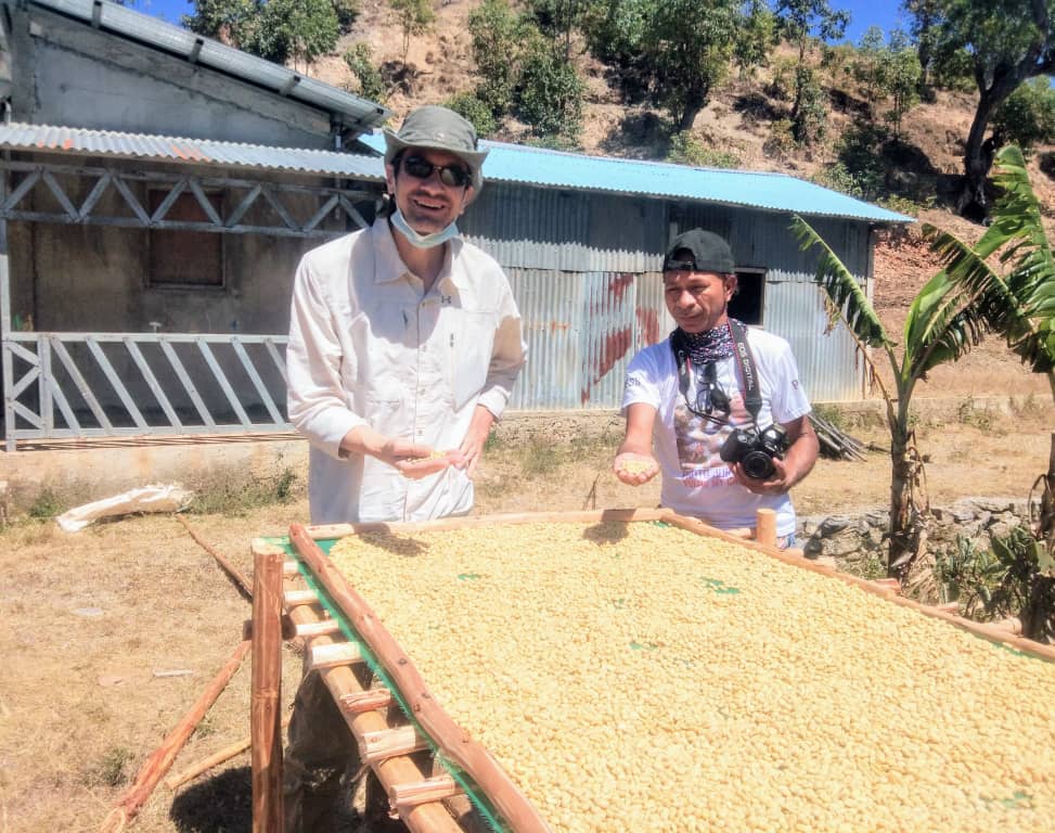Two people holding coffee beans on raised coffee drying bed.