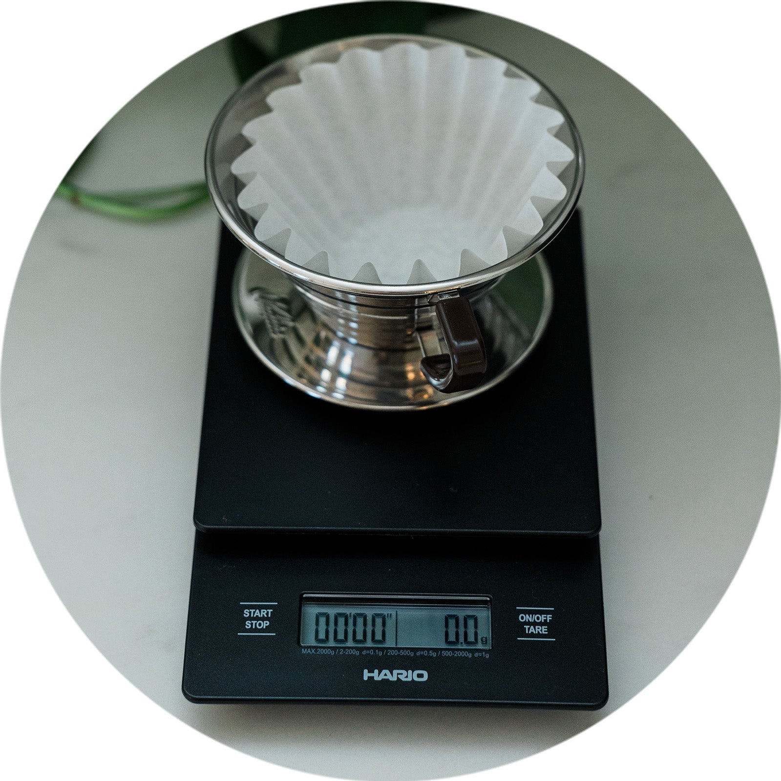 Coffee filter on a Hario digital scale with a white background