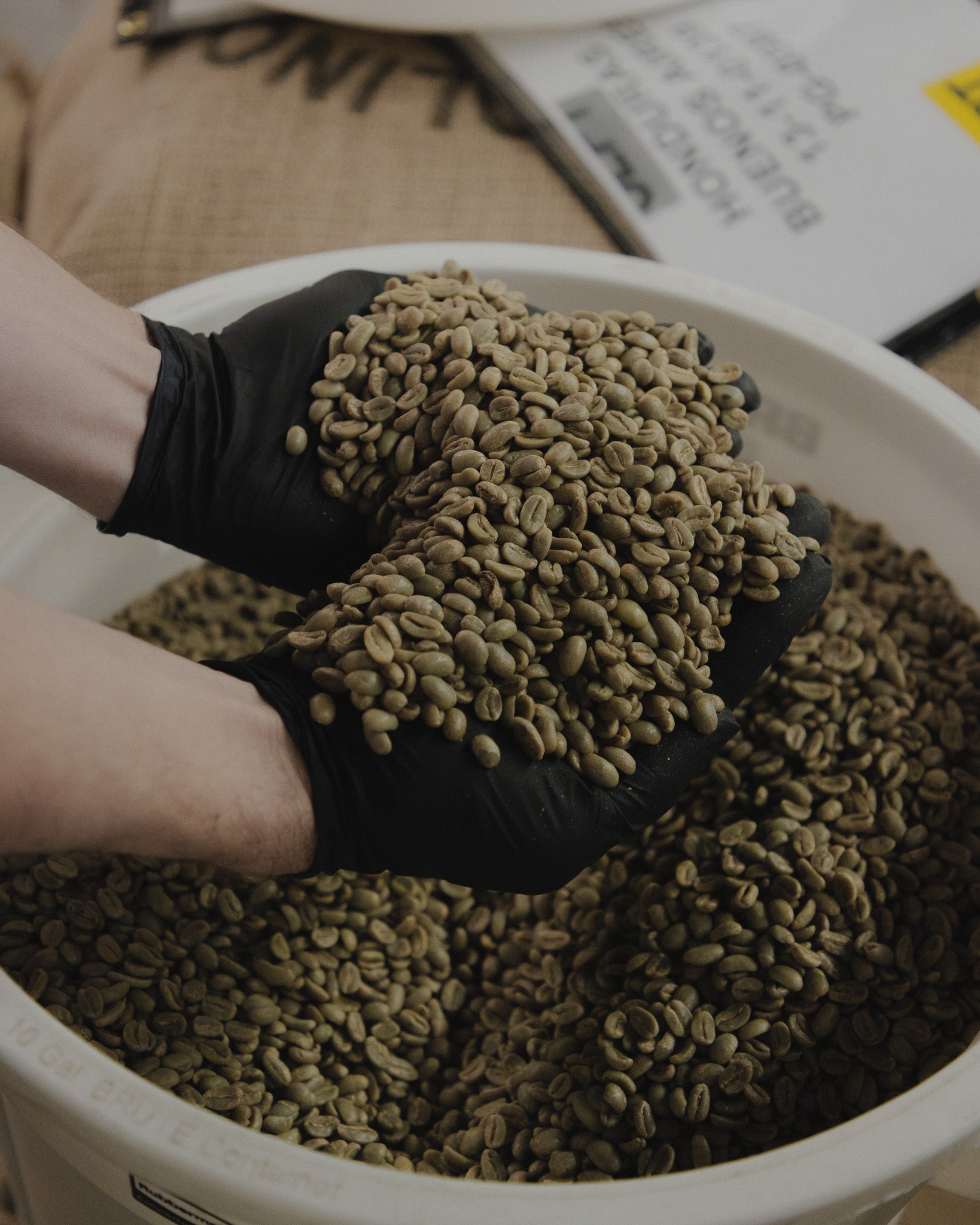 Person wearing black gloves holding coffee beans above a container filled with coffee beans.