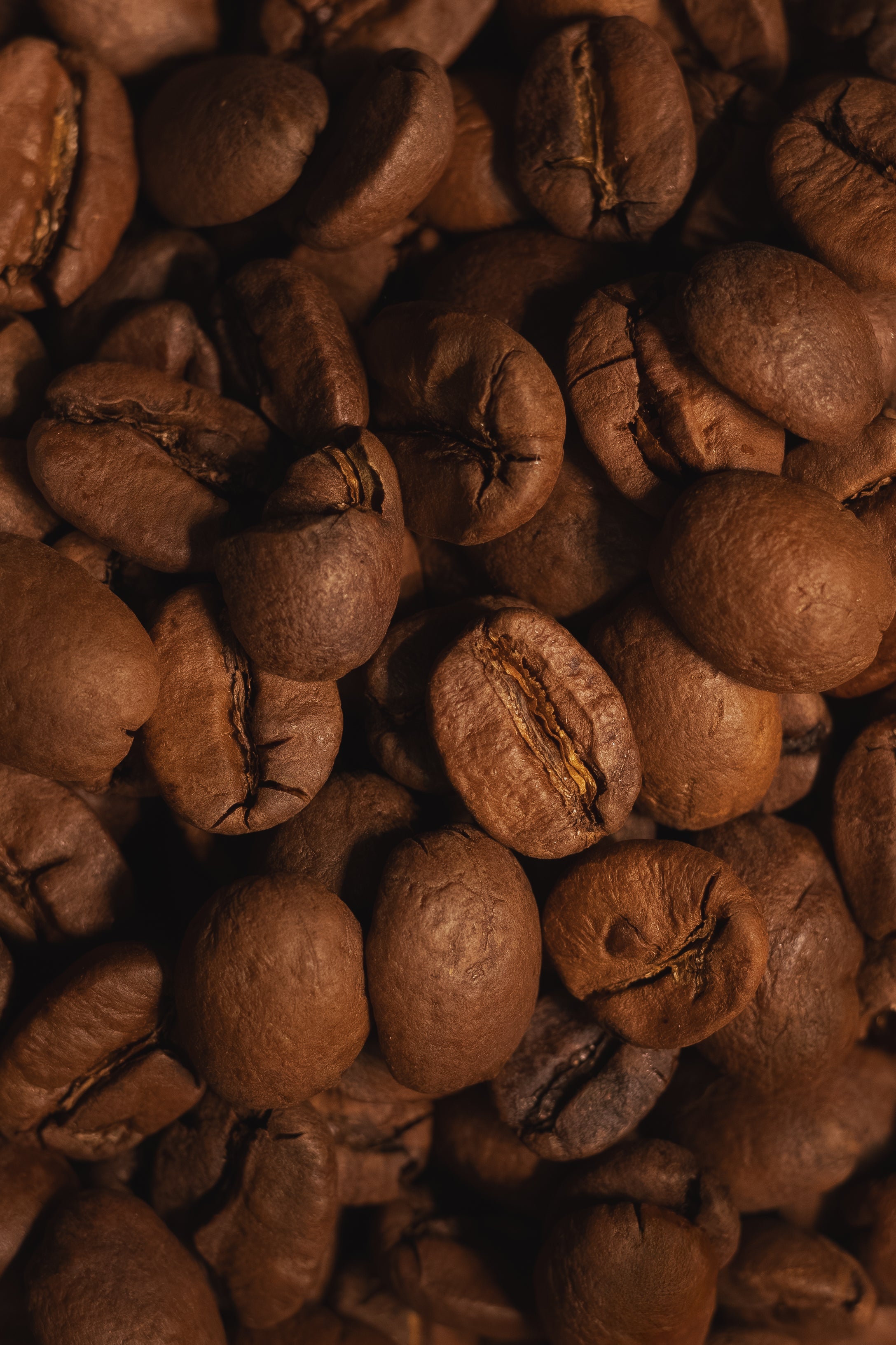Close-up of roasted coffee beans