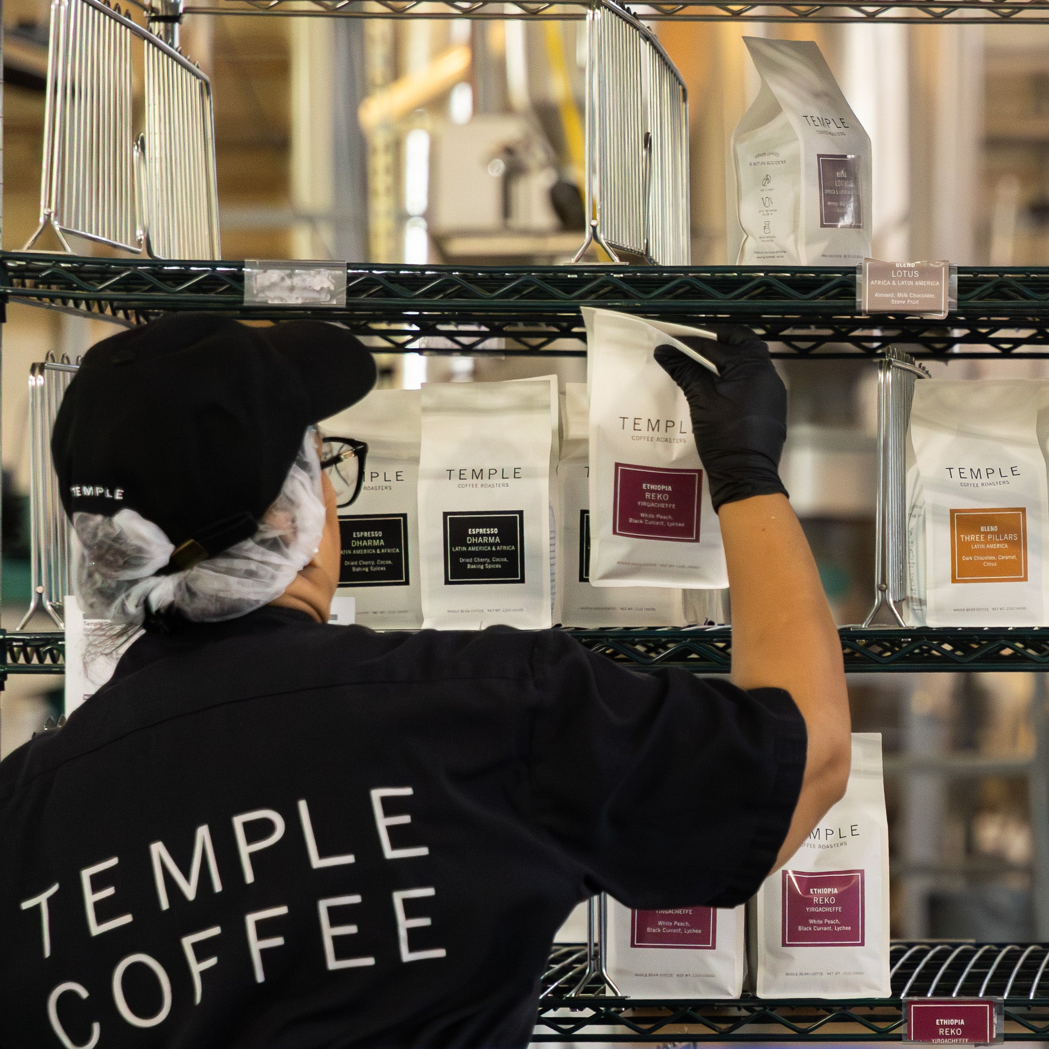 Person organizing Temple Coffee bags on a shelf