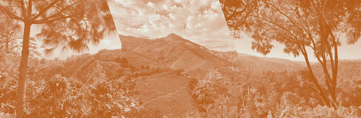 Three-panel view of a mountain landscape with trees and a clear sky.